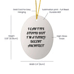 Architect Ornament Cant Fix Stupid But Im A Fairly Decent Architect Great Gift