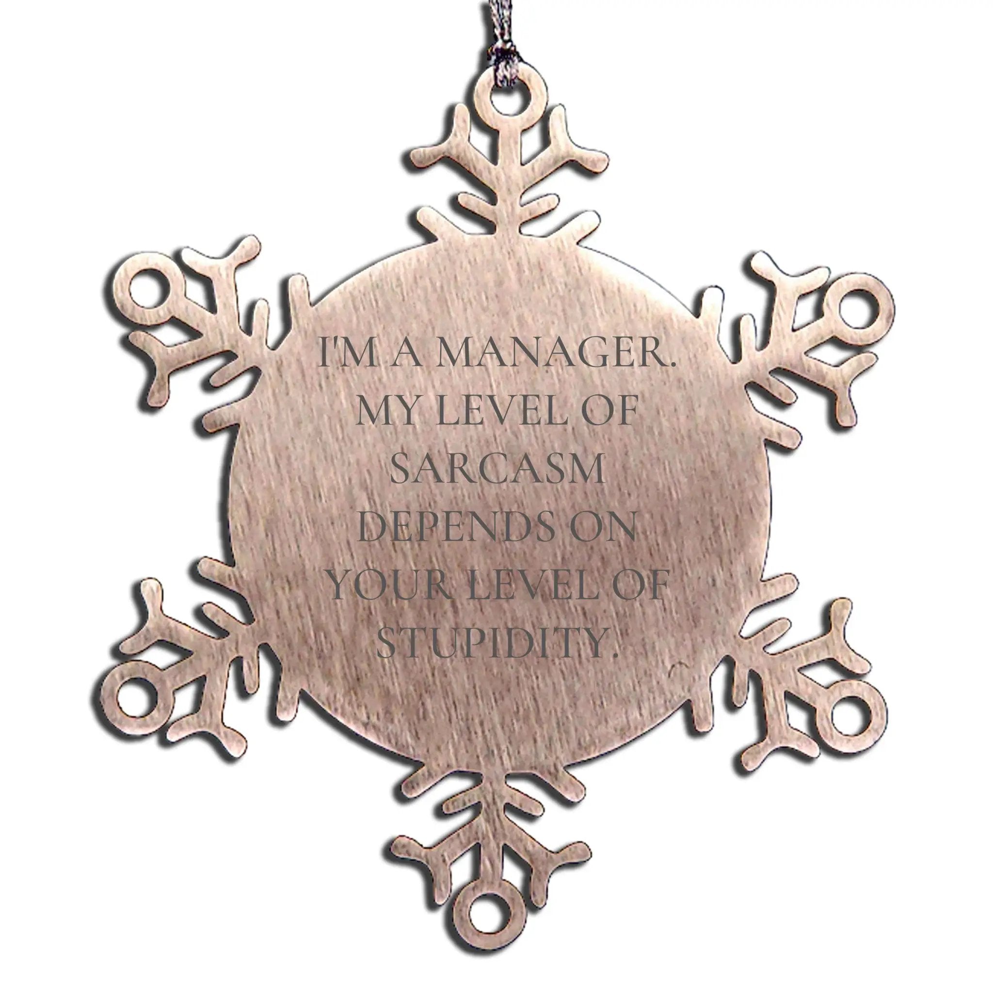 Manager Snowflake Ornament Sarcasm Depends On Level Of Stupidity Office Gift