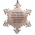 Compliance Officer Snowflake Ornament Funny Gift for Men