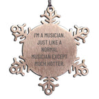 Musician Snowflake Ornament Im A Musician Hotter Great Gift