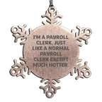 Payroll Clerk Snowflake Ornament Funny Christmas Gift