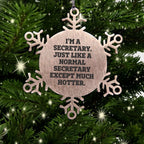 Secretary Snowflake Ornament Just Like A Normal Secretary Hotter Ideal Gift