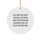 Personal Assistant Gifts, Funny Christmas Circle Ornament, 'If At First You Don't Succeed, Try Doing What Your Personal Assistant Told You To Do The First Time.' from Family, for Men or Women