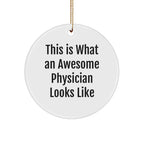 Physician Gifts: Funny Inspirational Circle Ornament, Gifts from Friends for Awesome Doctor, This Is What An Awesome Physician Looks Like Christmas Ornament, Unique Physician Present