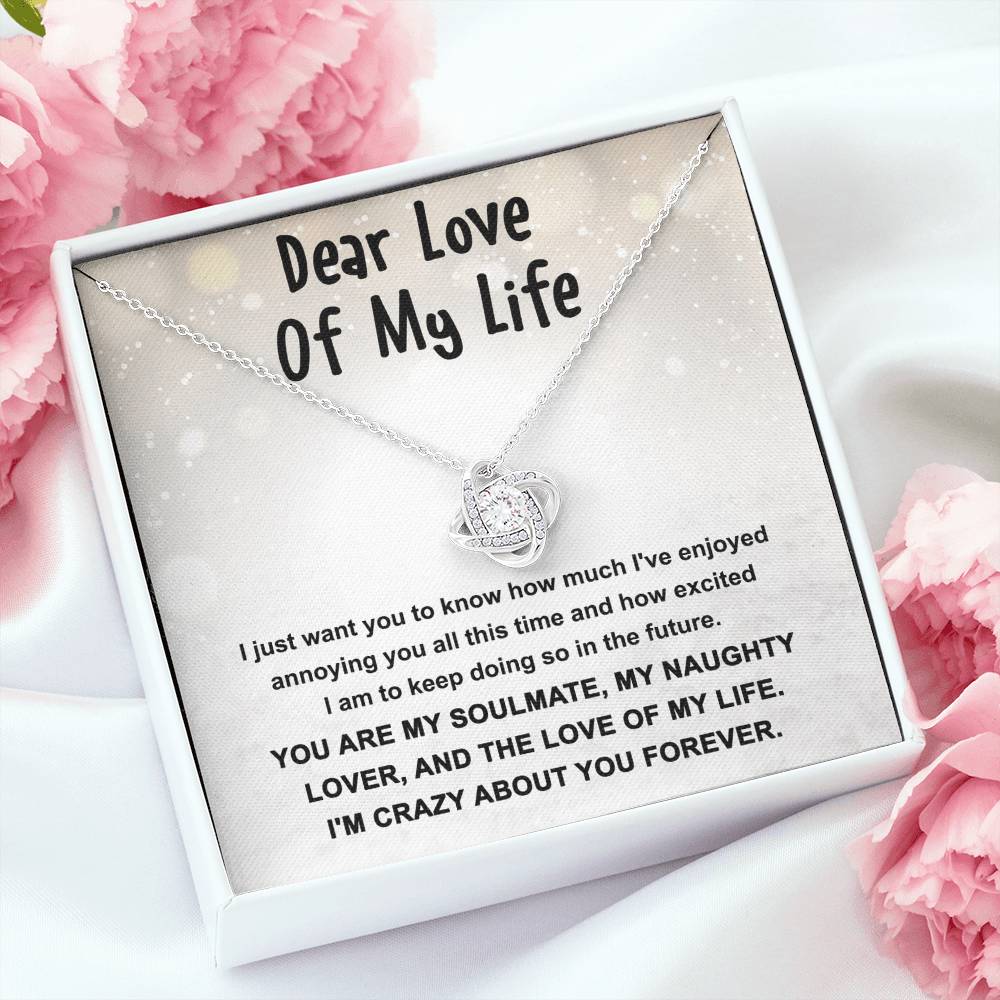 Gift for the Love of My Life, My Soulmate, My Naughty Lover - Love Knot Necklace - Mallard Moon Gift Shop
