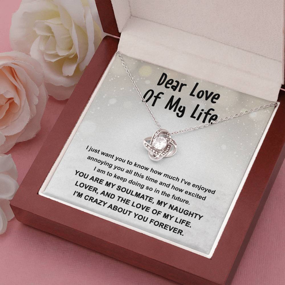 Gift for the Love of My Life, My Soulmate, My Naughty Lover - Love Knot Necklace - Mallard Moon Gift Shop