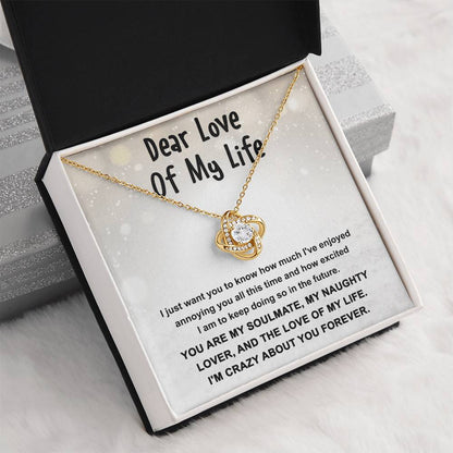 Gift for the Love of My Life, My Soulmate, My Naughty Lover - Love Knot Necklace - Mallard Moon Gift Shop