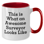 Funny Surveyor Gifts for Mom - Surveyor Inspired Two Tone Coffee Mug with 'This Is What An Awesome Surveyor Looks Like' Quote, Gifts from Mom to Surveyor, Unique Mother's Day Unique Gifts