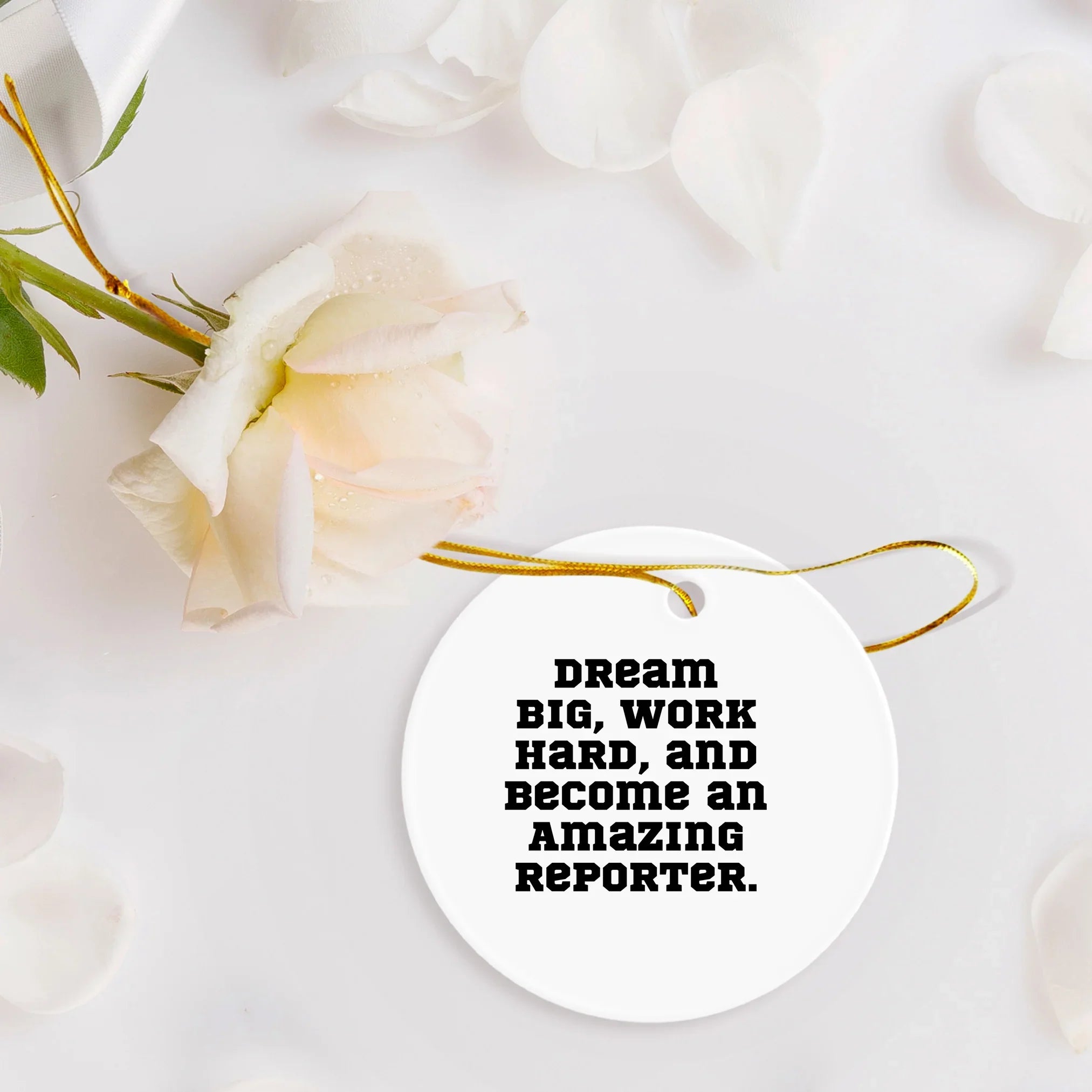 Reporter Christmas Circle Ornament- 'Dream Big, Work Hard, And Become An Amazing Reporter.' Gifts