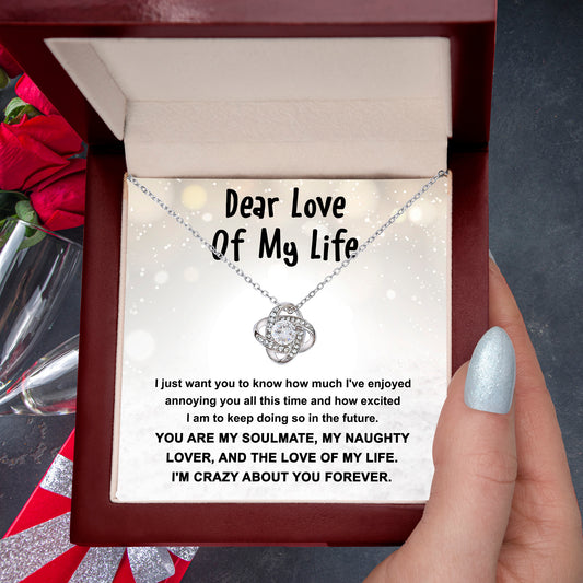 Gift for the Love of My Life, My Soulmate, My Naughty Lover - Love Knot Necklace - Mallard Moon Gift Shop