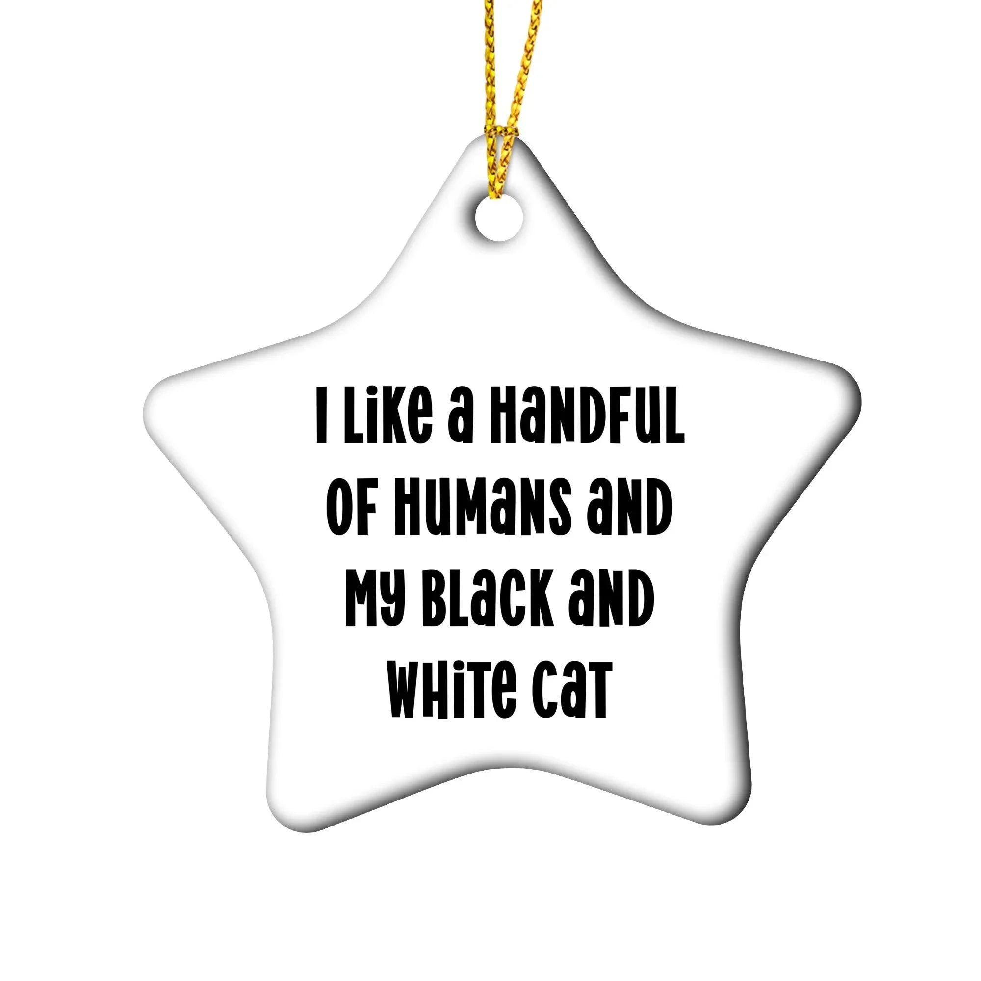 Funny Black and White Cat Christmas Ornaments- I Like A Handful Of Humans And My Black And White Cat