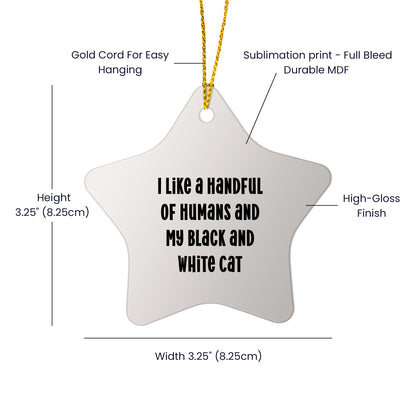 Black and White Cat Lovers' Christmas Unique Gift - Star Ornament with Funny Quote, 'I Like a Handful of Humans and My Black and White Cat', Perfect for Friends, Family, or Coworkers from You