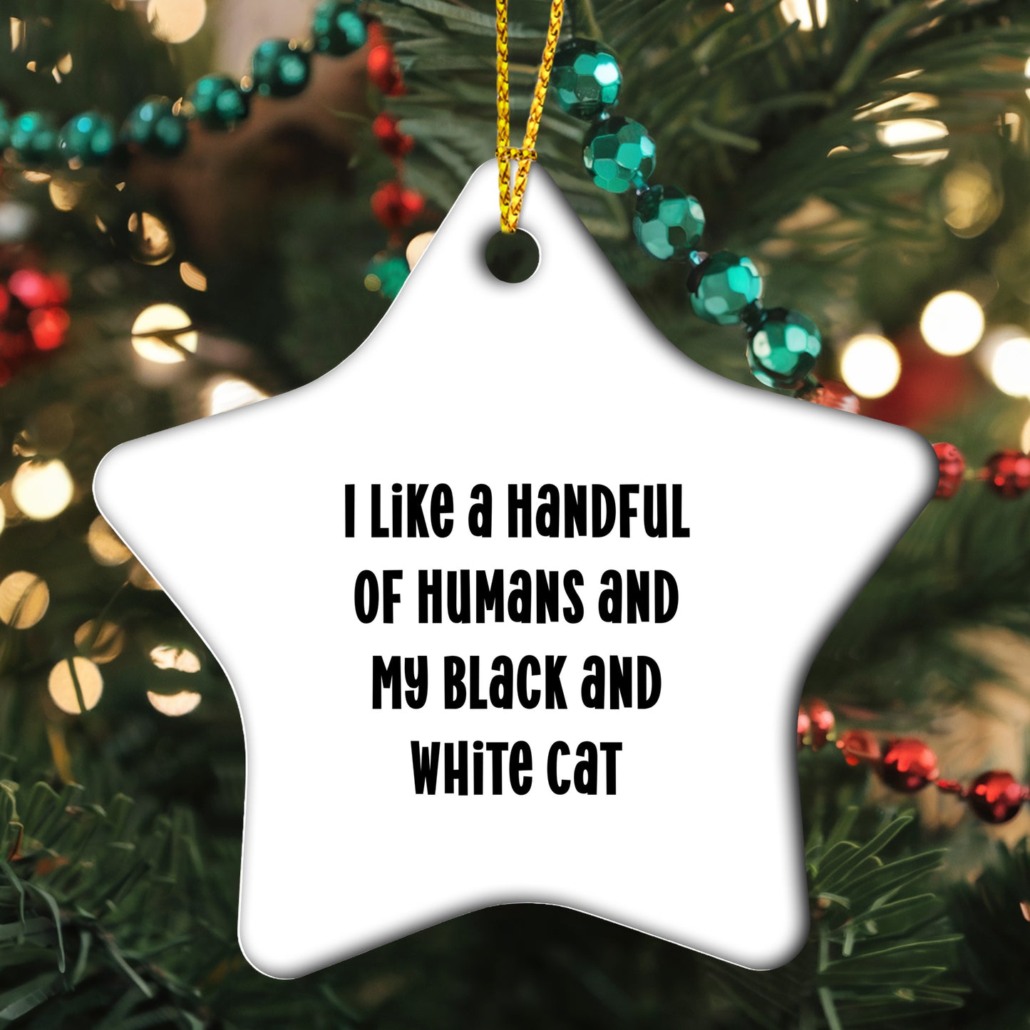 Black and White Cat Lovers' Christmas Unique Gift - Star Ornament with Funny Quote, 'I Like a Handful of Humans and My Black and White Cat', Perfect for Friends, Family, or Coworkers from You