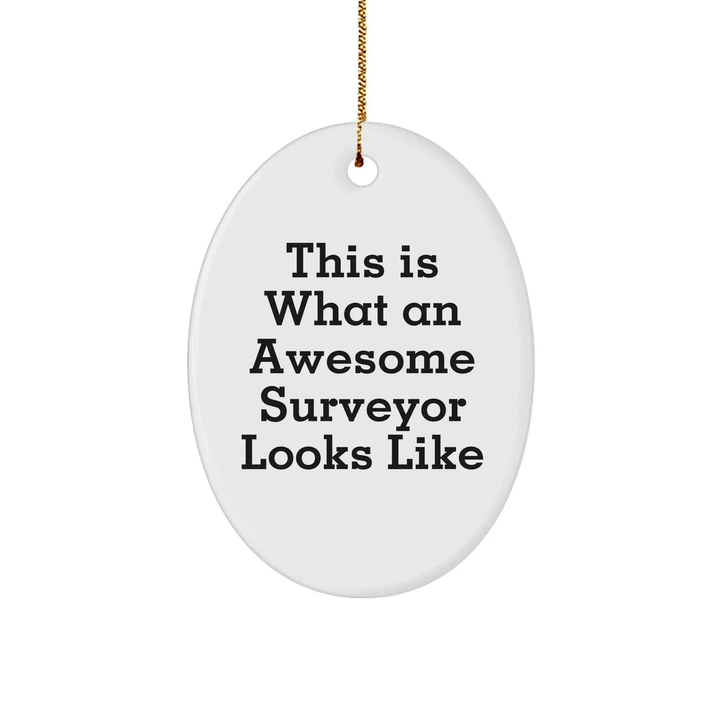 Surveyor Gifts from Friends, This Is What An Awesome Surveyor Looks Like, Oval Ornament for Christmas, Gifts for Surveyor Men