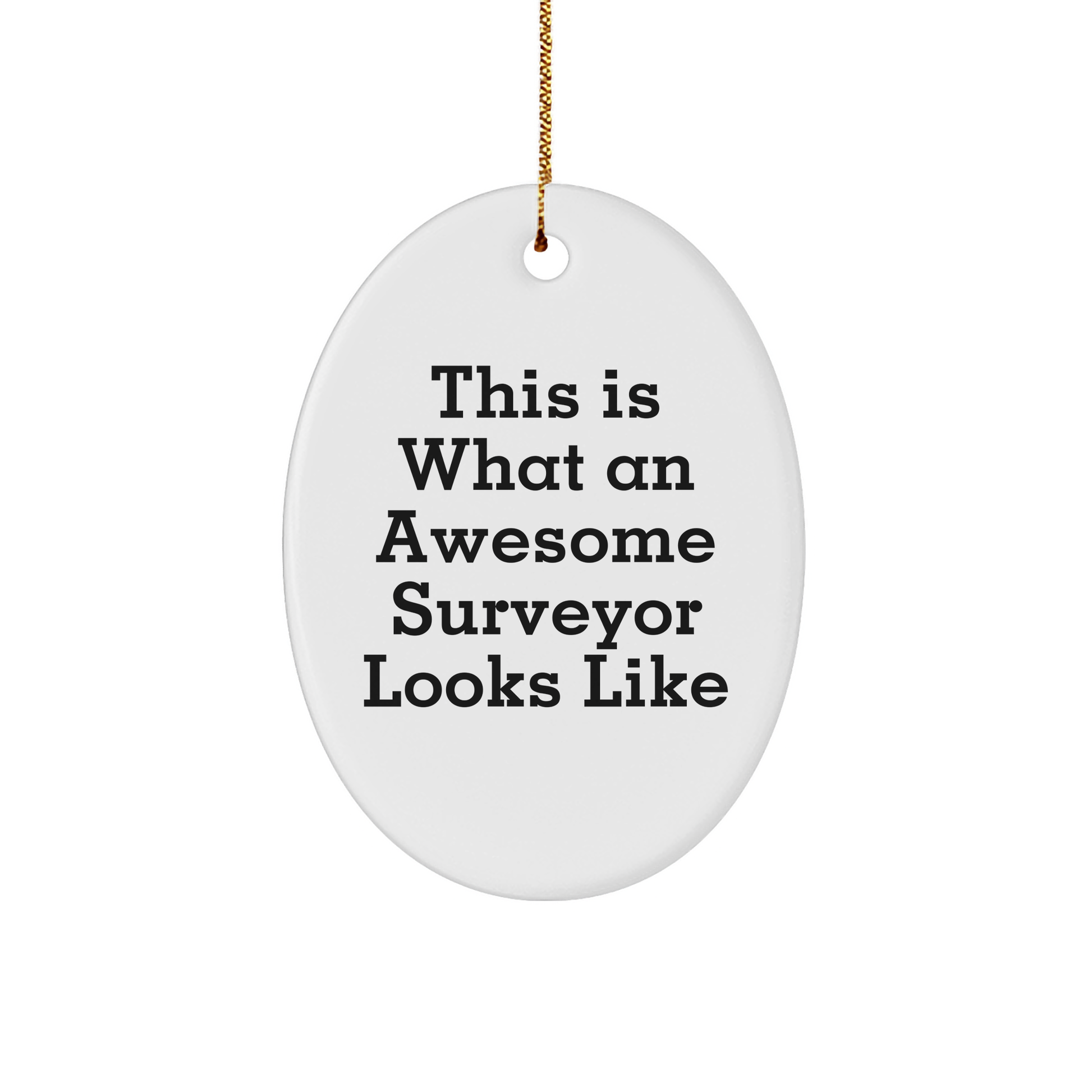 Surveyor Gifts from Friends, This Is What An Awesome Surveyor Looks Like, Oval Ornament for Christmas, Gifts for Surveyor Men