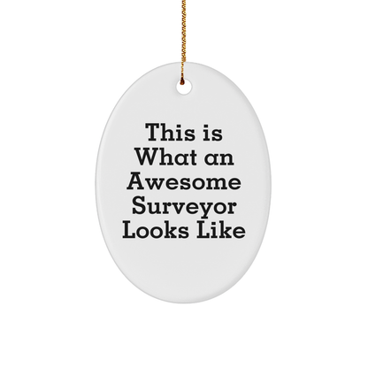 Surveyor Gifts from Friends, This Is What An Awesome Surveyor Looks Like, Oval Ornament for Christmas, Gifts for Surveyor Men