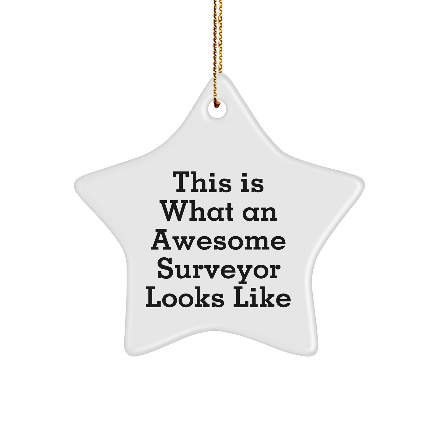 This Is What An Awesome Surveyor Looks Like, Funny Surveyor Gifts from Friends for Surveyors, Christmas Unique Star Ornament