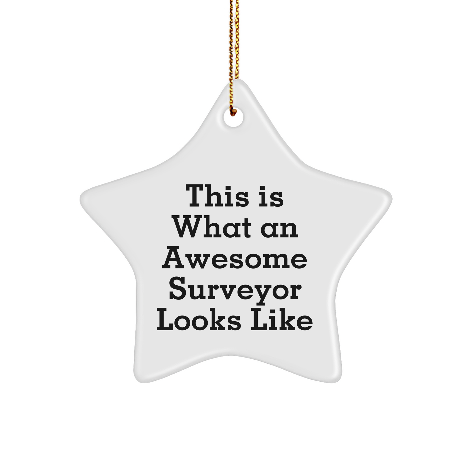 This Is What An Awesome Surveyor Looks Like, Funny Surveyor Gifts from Friends for Surveyors, Christmas Unique Star Ornament