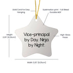 Vice-Principal Gifts from Friends, Funny Star Ornament for Vice-Principal By Day, Ninja By Night, Christmas Unique Gifts