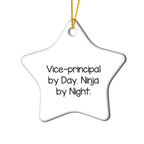 Vice-Principal Gifts from Friends, Funny Star Ornament for Vice-Principal By Day, Ninja By Night, Christmas Unique Gifts