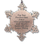 Vice-Principal Snowflake Ornament Gift Idea Funny Quote, Gifts from Friends to Vice-Principal, I'm Not Ideal Gifts for Men, Unique Christmas Unique Gifts