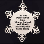 Vice-Principal Snowflake Ornament Gift Idea Funny Quote, Gifts from Friends to Vice-Principal, I'm Not Ideal Gifts for Men, Unique Christmas Unique Gifts