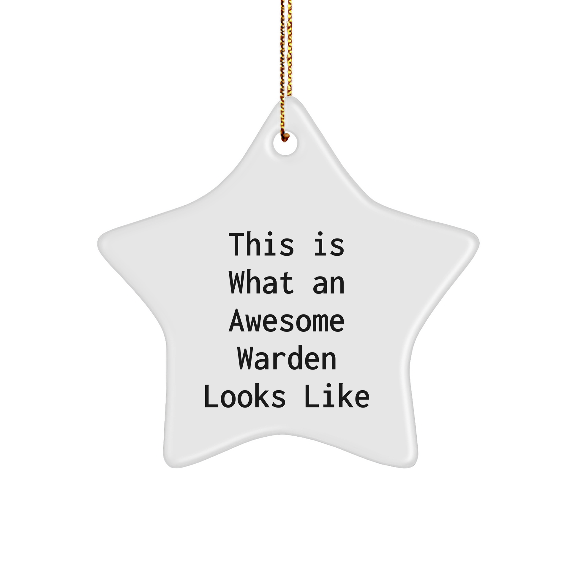 Warden Gifts from Friends for Warden - Star Ornament with Funny Quote 'This Is What An Awesome Warden Looks Like' - Unique Christmas Memorable Present