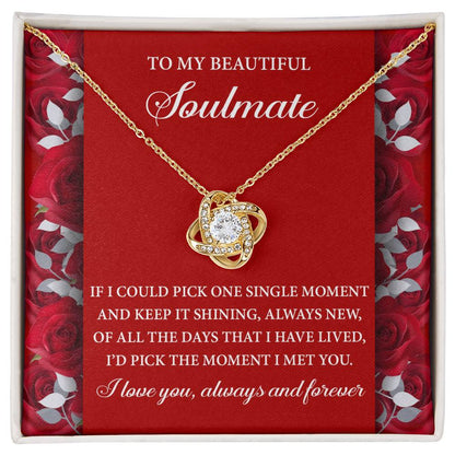 Romantic Anniversary, Valentine's Day Gift for Soulmate, Wife, Girlfriend - The Moment I Met You - Love Knot Pendant Necklace - Mallard Moon Gift Shop