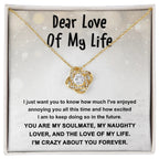 Gift for the Love of My Life, My Soulmate, My Naughty Lover - Love Knot Necklace