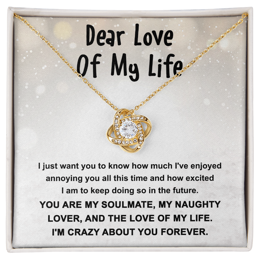 Gift for the Love of My Life, My Soulmate, My Naughty Lover - Love Knot Necklace - Mallard Moon Gift Shop
