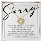 Apology Gift for Girlfriend, Wife, Soulmate - Sorry, Someone Like That - Love Knot Pendant Necklace