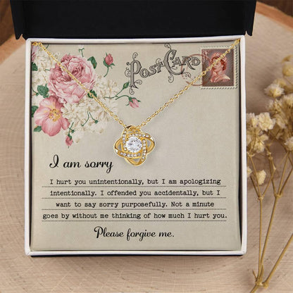 Forgive Me Gift - Sorry I Hurt You, I am Apologizing Intentionally - Love Knot Pendant Necklace - Mallard Moon Gift Shop