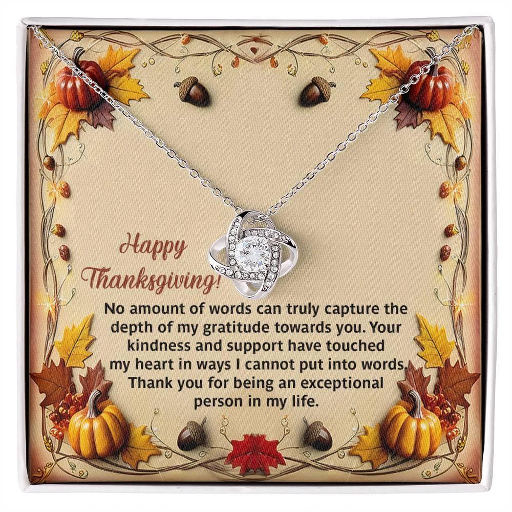 Thanksgiving Gift for Her – “Put Into Words” Love Knot Necklace with Message Card | Heartfelt Gratitude Gift for Her