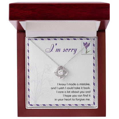 Gift for Girlfriend, Wife - Sorry, Take It Back - Love Knot Pendant Necklace - Mallard Moon Gift Shop