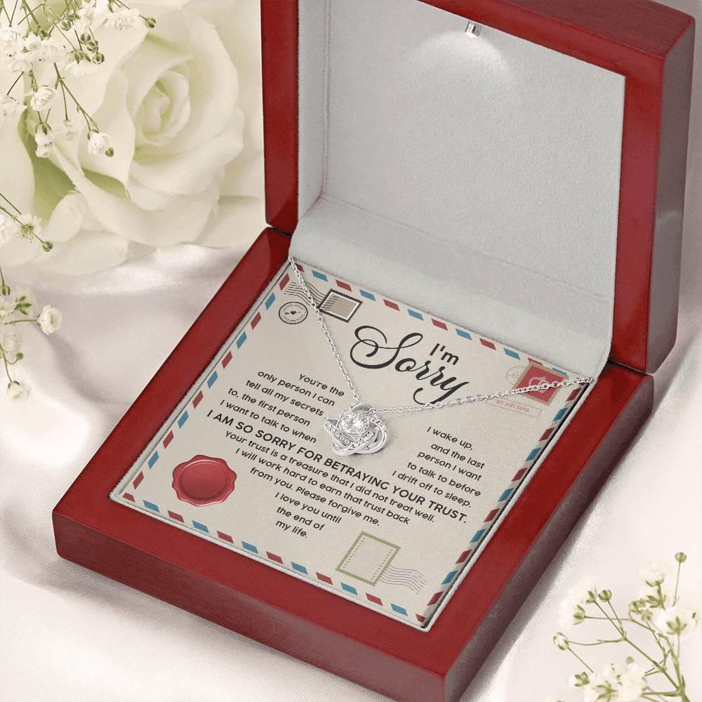 Apology Gift for Girlfriend, Wife, Soulmate - Sorry, The Only Person - Love Knot Pendant Necklace - Mallard Moon Gift Shop