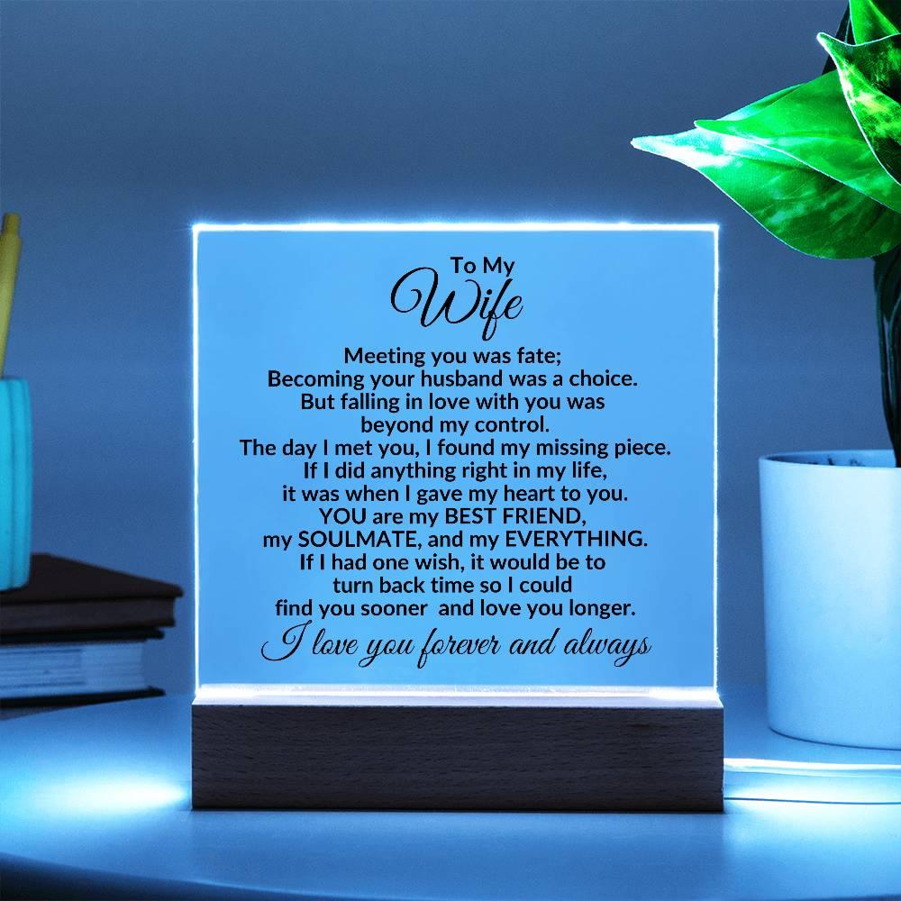 Heartfelt Gift for Wife You are My Best Friend, My Everything - Square Acrylic Plaque Personalized Birthday Anniversary Valentine Holiday - Mallard Moon Gift Shop