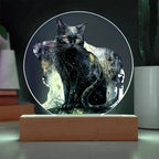 Midnight Purr: Black Cat's Acrylic Plaque Halloween Decor