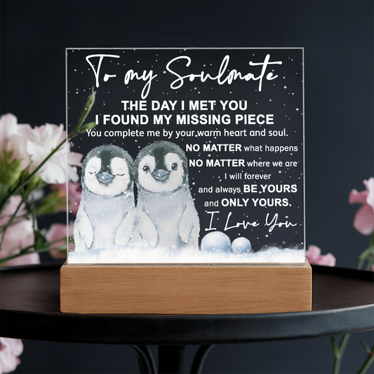 Soulmate Acrylic Plaque – Penguin Couple LED Light Gift | Romantic “You Complete Me” Christmas Keepsake