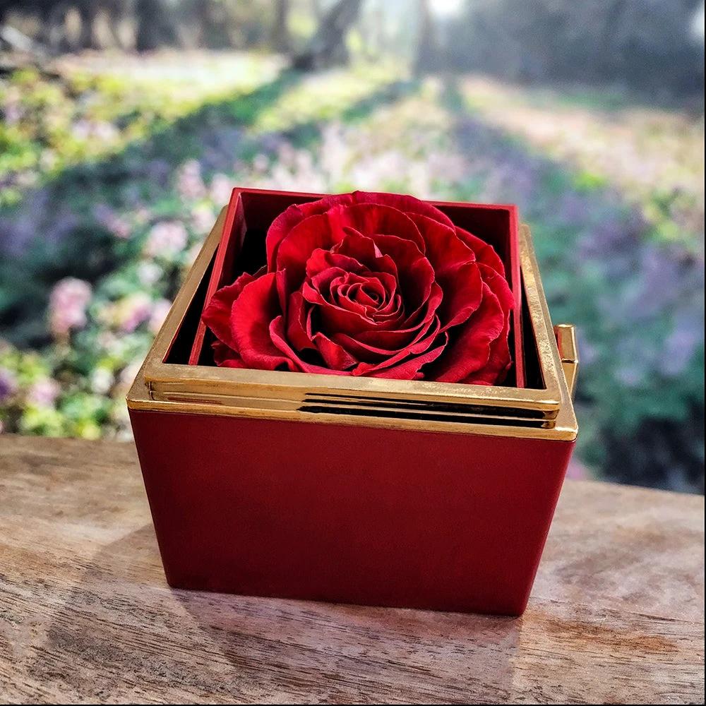 To My Mom - Because of You - Love Knot Necklace with Rose Gift Box from Son