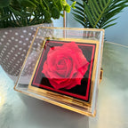 To My Beautiful Bride – Romantic Forever Together Message – Rotating Rose Love Knot Necklace Acrylic Gift Box