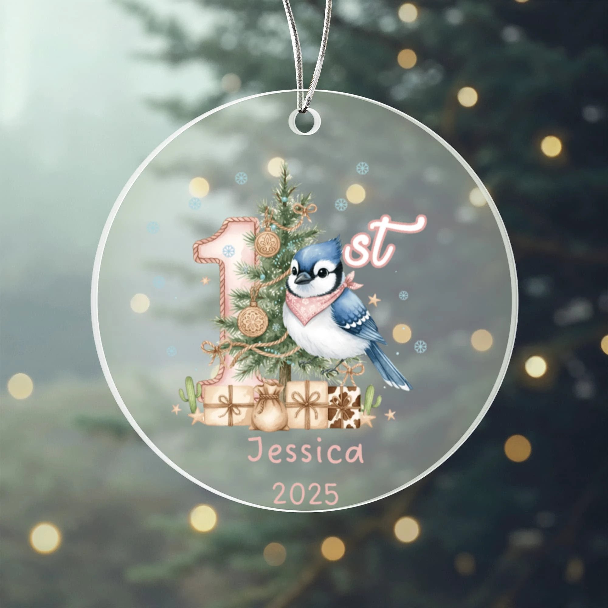 Baby's First Christmas Cute Blue Jay Girl's Western Style Acrylic Ornament – Personalized Name and Year – Holiday Keepsake – 3” Clear Round Ornament for Newborns, Infants