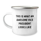 Vice President Gifts, Funny Quote, Camping Mug for Graduation, Gifts from Friends, Gifts for Vice President - Unique and Inspirational