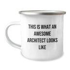 Awesome Architect Funny Gifts, Unique Valentine's Unique Gifts from Men to Architect Friends, Architect Camping Mug This Is What An Awesome Architect Looks Like