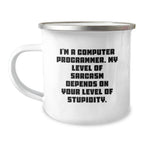 Funny Computer Programmer Gifts from Friends for Men - I'm A Computer Programmer Mug, Christmas Unique Gifts, Camping Mug