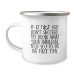 Funny Paralegal Gifts from Friends to Paralegal, Christmas Unique Mugs for Men, If At First You Don't Succeed, Try Doing What Your Paralegal Told You To Do The First Time.