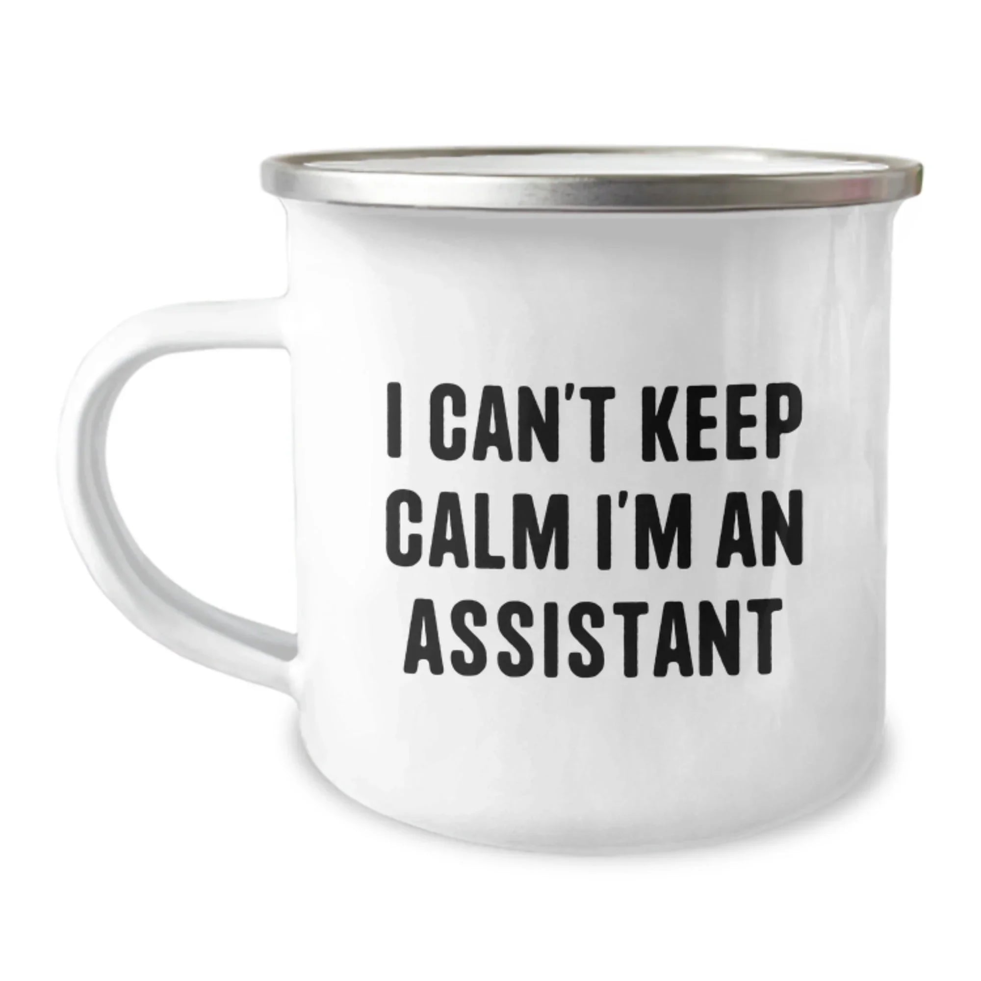 Funny Assistant Gifts for Men, Unique Christmas Unique Gifts from Men to Assistant, Camping Mug I Can't Keep Calm I'm An Assistant