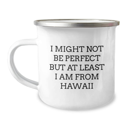 Gifts from Hawaii - Unique Christmas Unique Gifts for Hawaii Lovers - Funny Camping Mug for Men and Women - Image 1