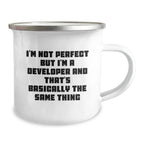 Developer Christmas Unique Gifts from Friends to Men - 'I'm Not Perfect But I'm A Developer' Funny Camping Mug