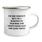 Funny Substitute Teacher Camping Mug Gifts for Coworkers from Friends