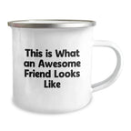 Funny Friend Camping Mug Gifts from Men to Awesome Friends on Valentine's - 'This Is What An Awesome Friend Looks Like' - 12 oz Stainless Steel Enamel Finish